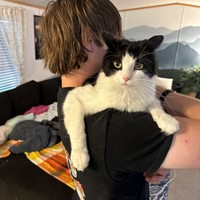 Lost Pet Image