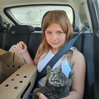 Lost Pet Image
