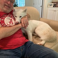 Lost Pet Image