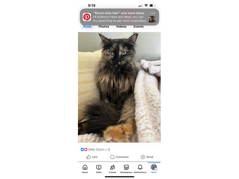 Pet Photo