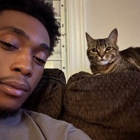 Lost Pet Image