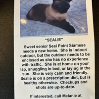 Lost Pet Image