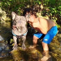 Lost Pet Image