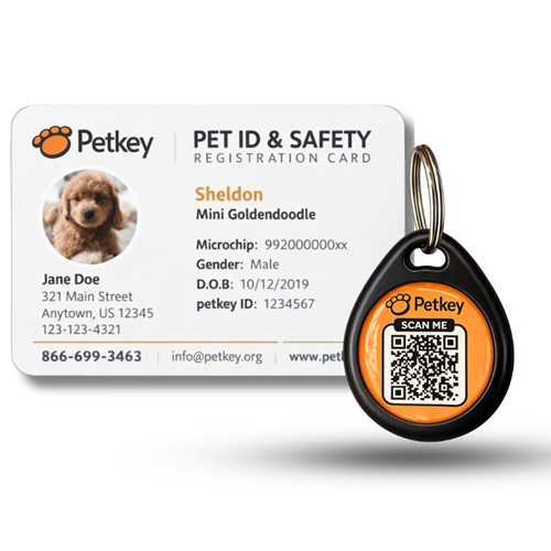 Pet ID Card and QR Tag