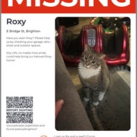 Lost Pet Image