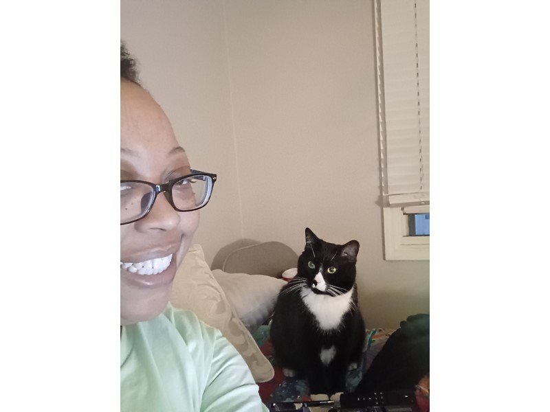 Pet Photo
