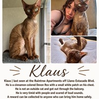 Lost Pet Image