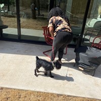 Lost Pet Image