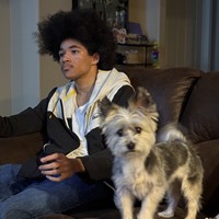Lost Pet Image