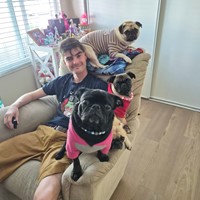 Lost Pet Image