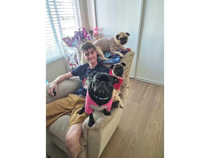 Pet Photo