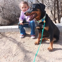 Lost Pet Image