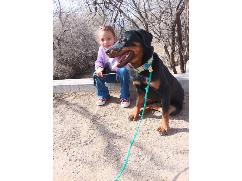 Pet Photo