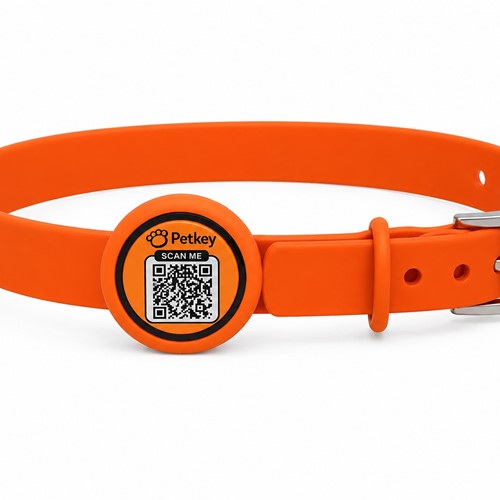 Adjustable Pet Collar with Air Tag Holder