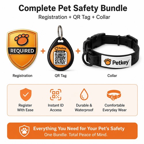 Registration + QR Tag+Collar