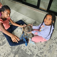 Lost Pet Image