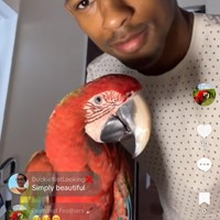 Lost Pet Image