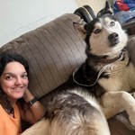 Leia marie, Siberian Husky, lost pet near Upper Arlington, OH
