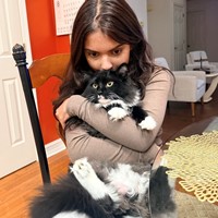 Lost Pet Image
