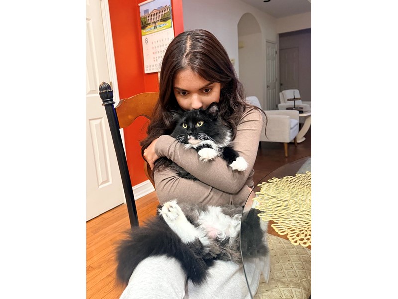 Pet Photo