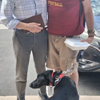 Lost Pet Image
