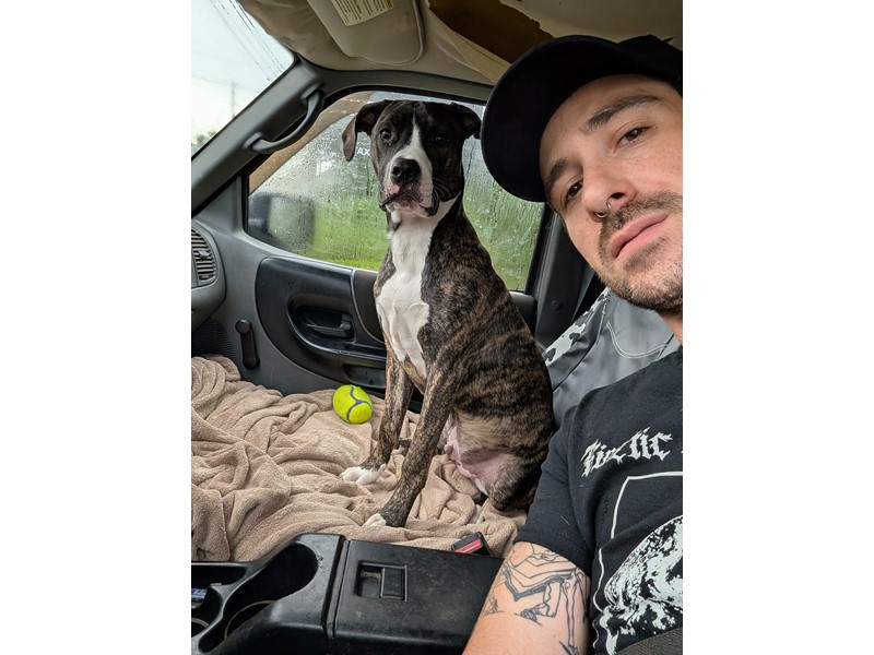 Pet Photo