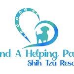 Lend Helping Paw Shih Tzu Rescue, canton, Michigan