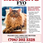 Fyo (Fyodor Dostoyevsky Wisehart Mutter), Siberian Cat, lost pet near Fort Oglethorpe, GA