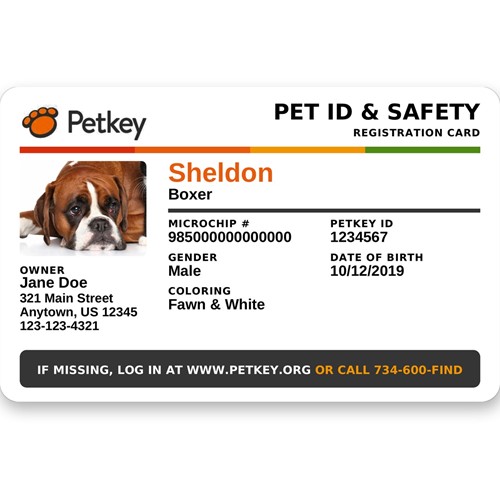 Petkey Pet ID Card