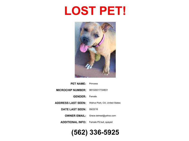 Lost Pets in California - Find Missing Pets