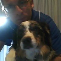 Lost Pet Image