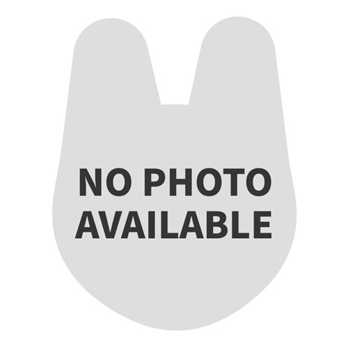 Alert Service Automatic Renewal